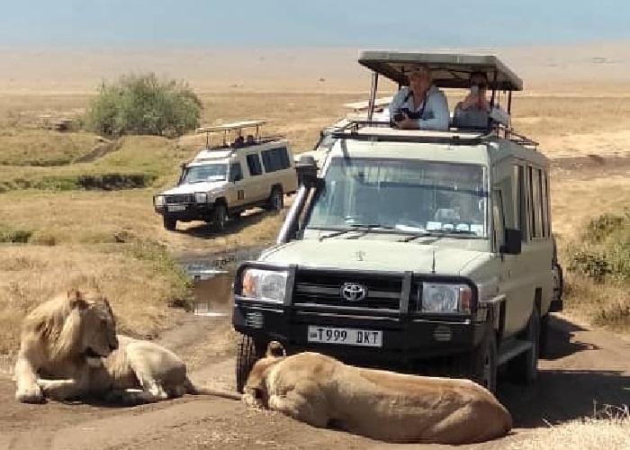 5 days Tanzania safari