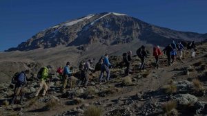 Mount Kilimanjaro day trip