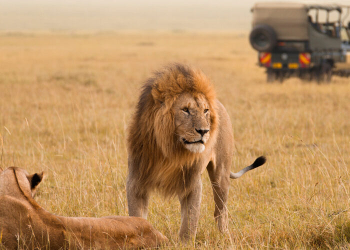 best time to visit Tanzania