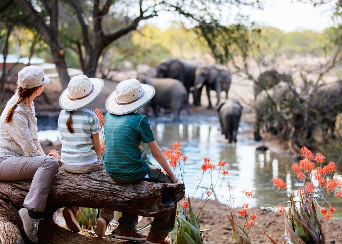 Tanzania Safari FAQs