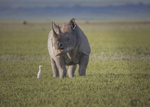 ngorongoro crater