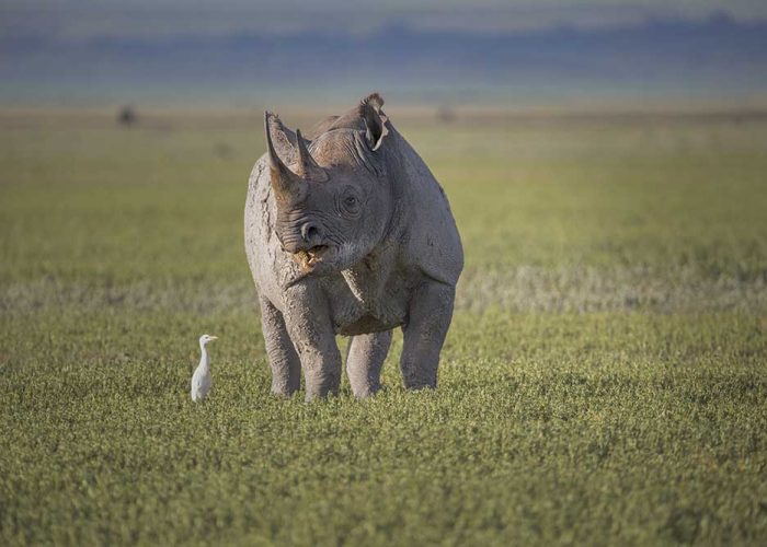 ngorongoro crater