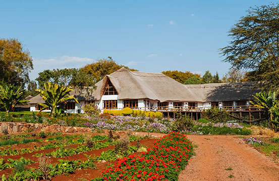 Ngorongoro Farm House