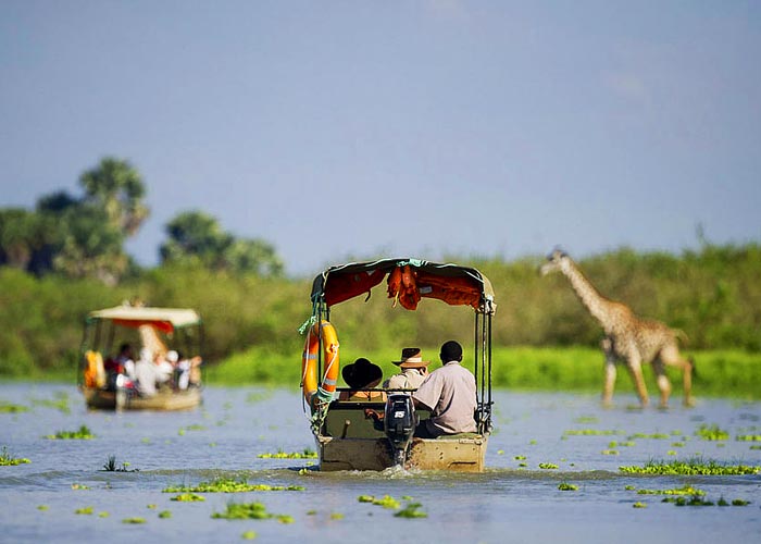 Selous safari