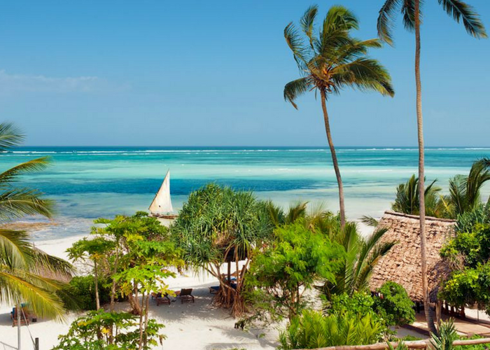 zanzibar safaris