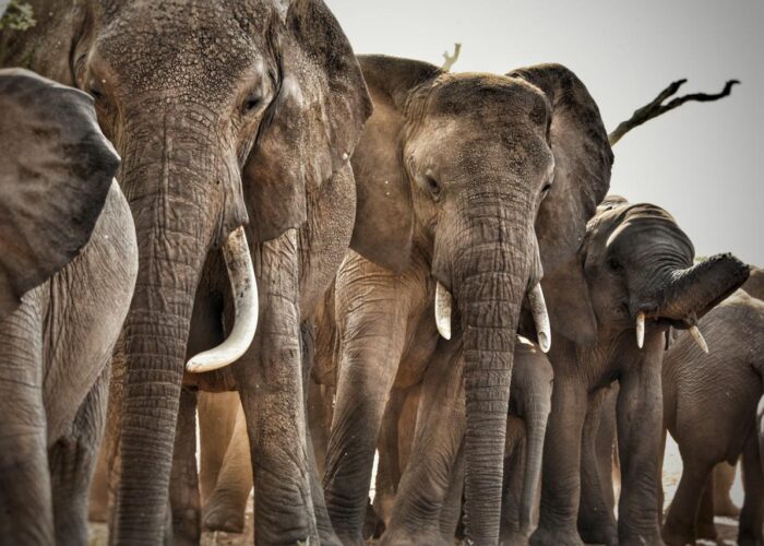 Tarangire National Park