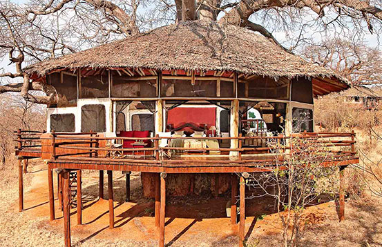 Tarangire Treetops