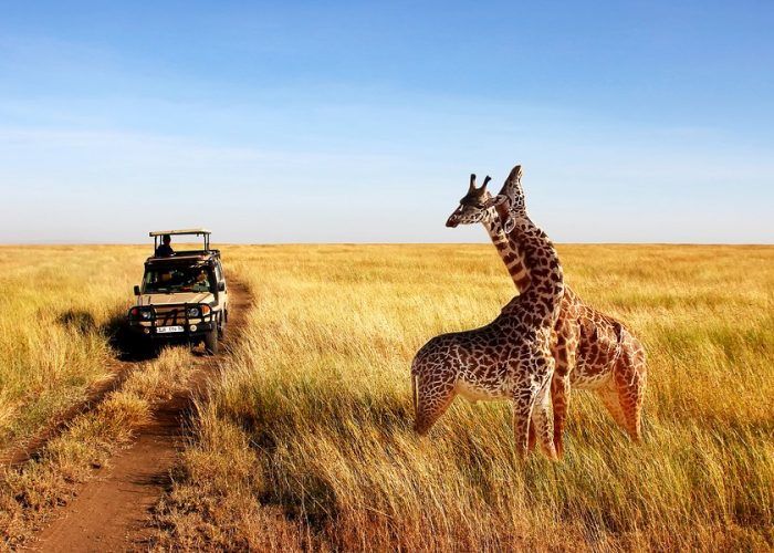 Tanzania Wilderness Adventure