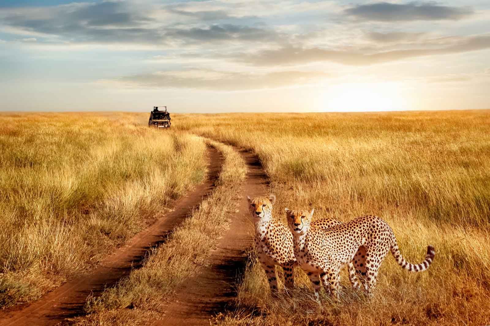 Covid testing Tanzania