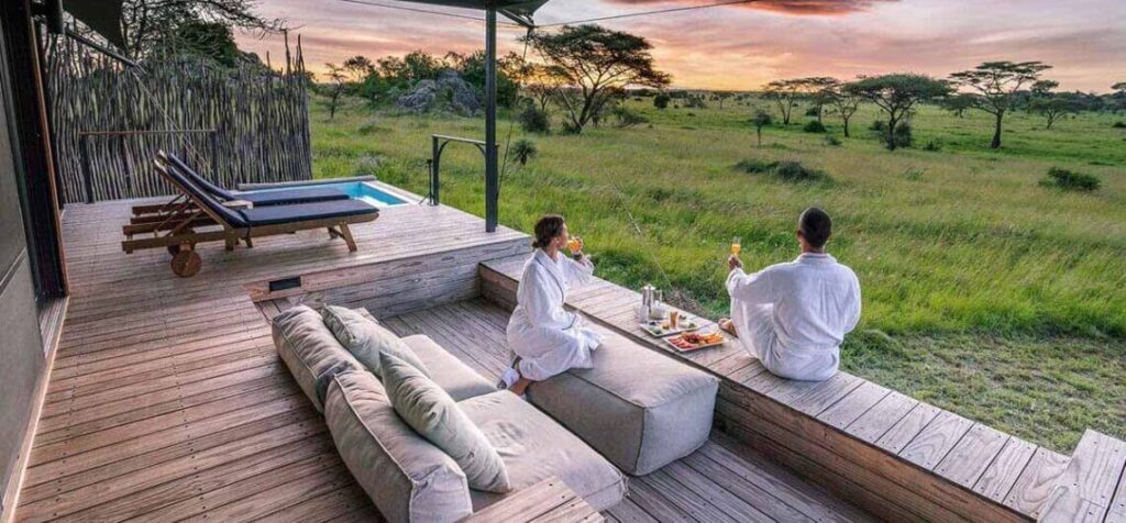 Why Use a Travel Agent for Tanzania Safaris