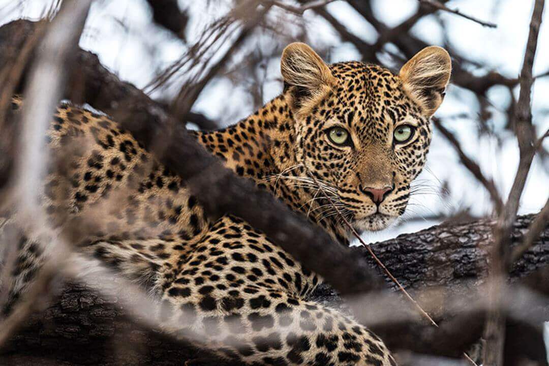 Serengeti National Park